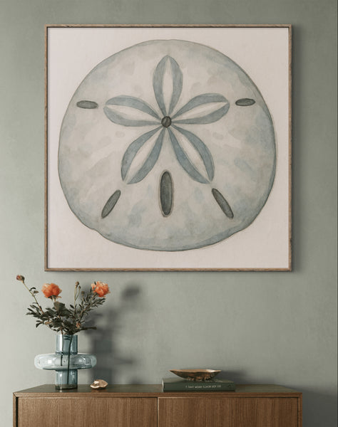 Sand Dollar