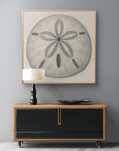 Sand Dollar
