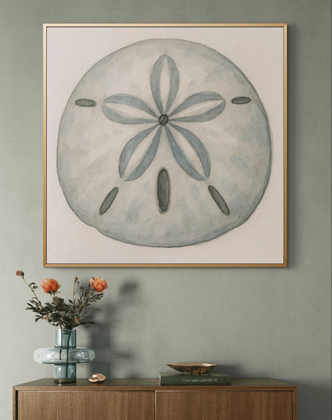 Sand Dollar