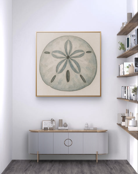 Sand Dollar