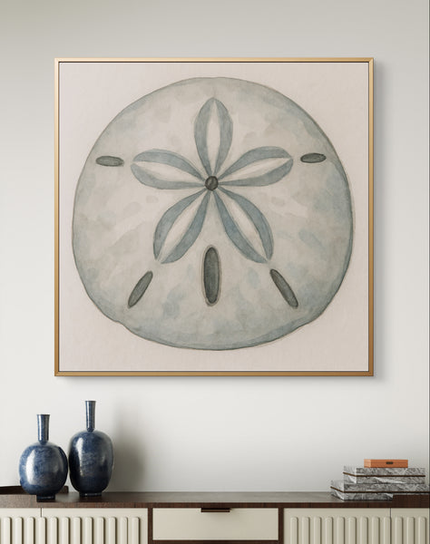 Sand Dollar