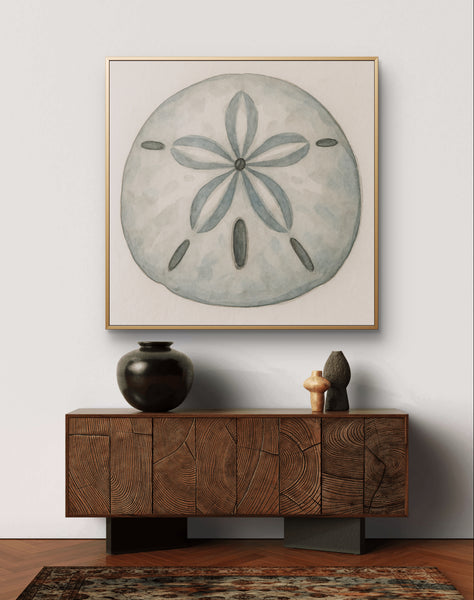 Sand Dollar