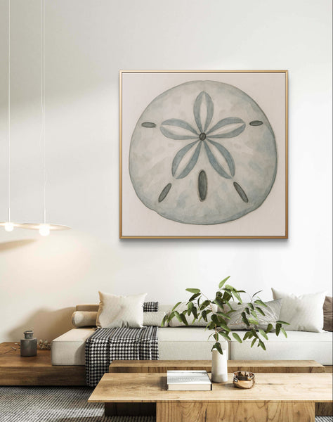 Sand Dollar