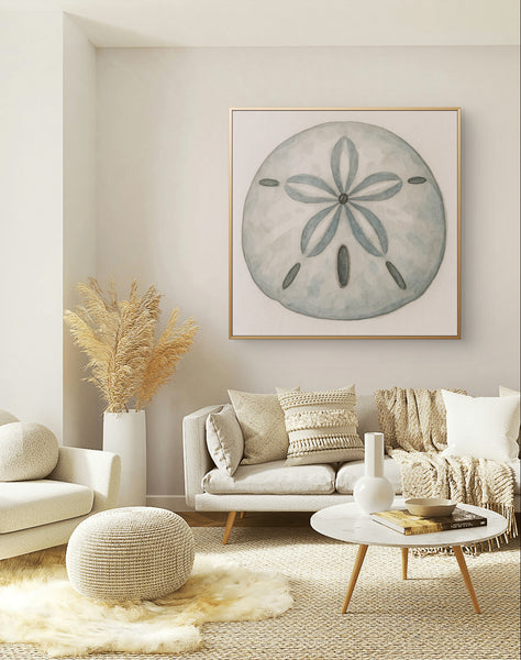 Sand Dollar