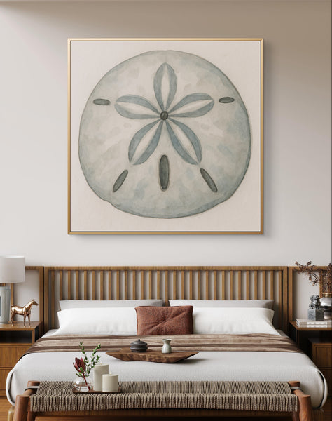 Sand Dollar