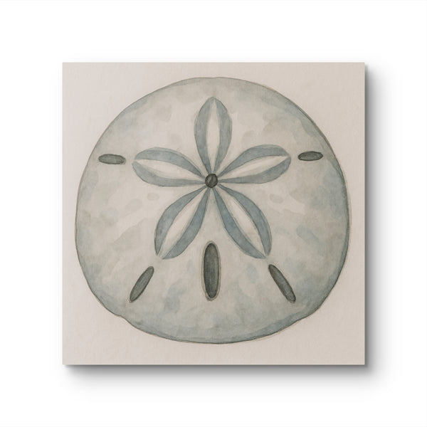 Sand Dollar