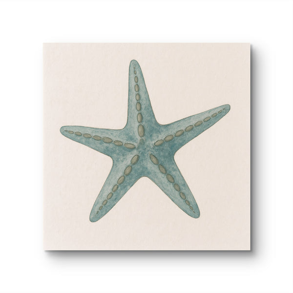 Starfish [Square]