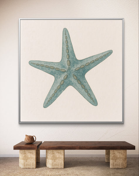 Starfish [Square]