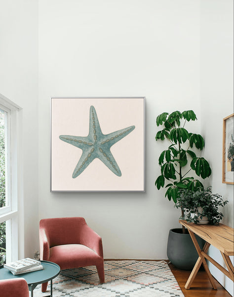 Starfish [Square]