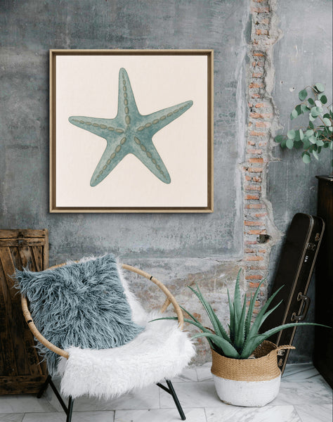 Starfish [Square]