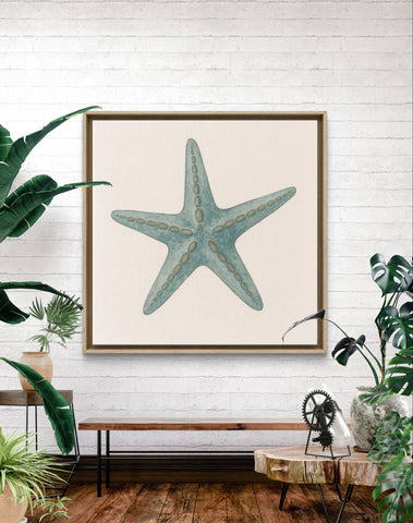 Starfish [Square]