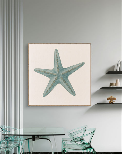 Starfish [Square]