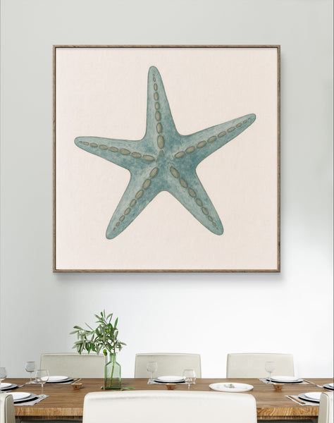 Starfish [Square]