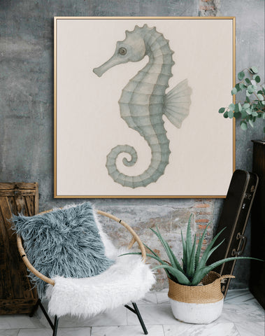 Seahorse