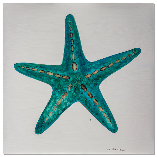 Starfish 2 [Square]