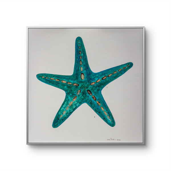 Starfish 2 [Square]