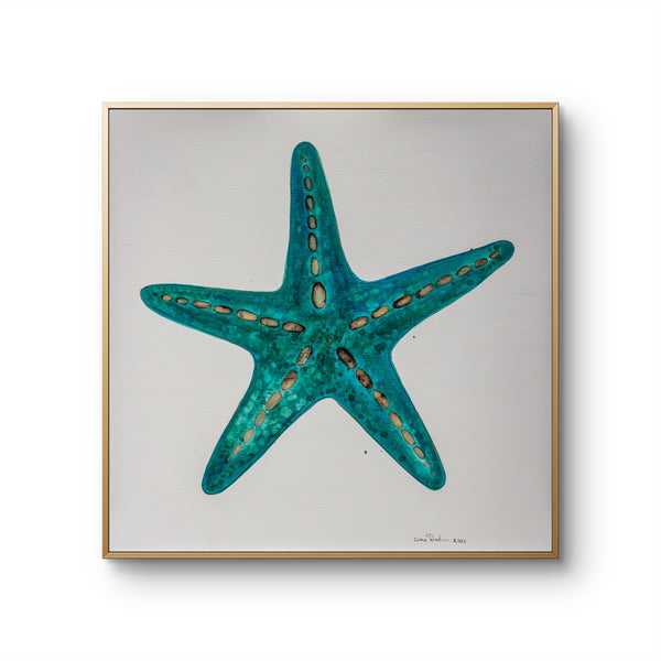 Starfish 2 [Square]